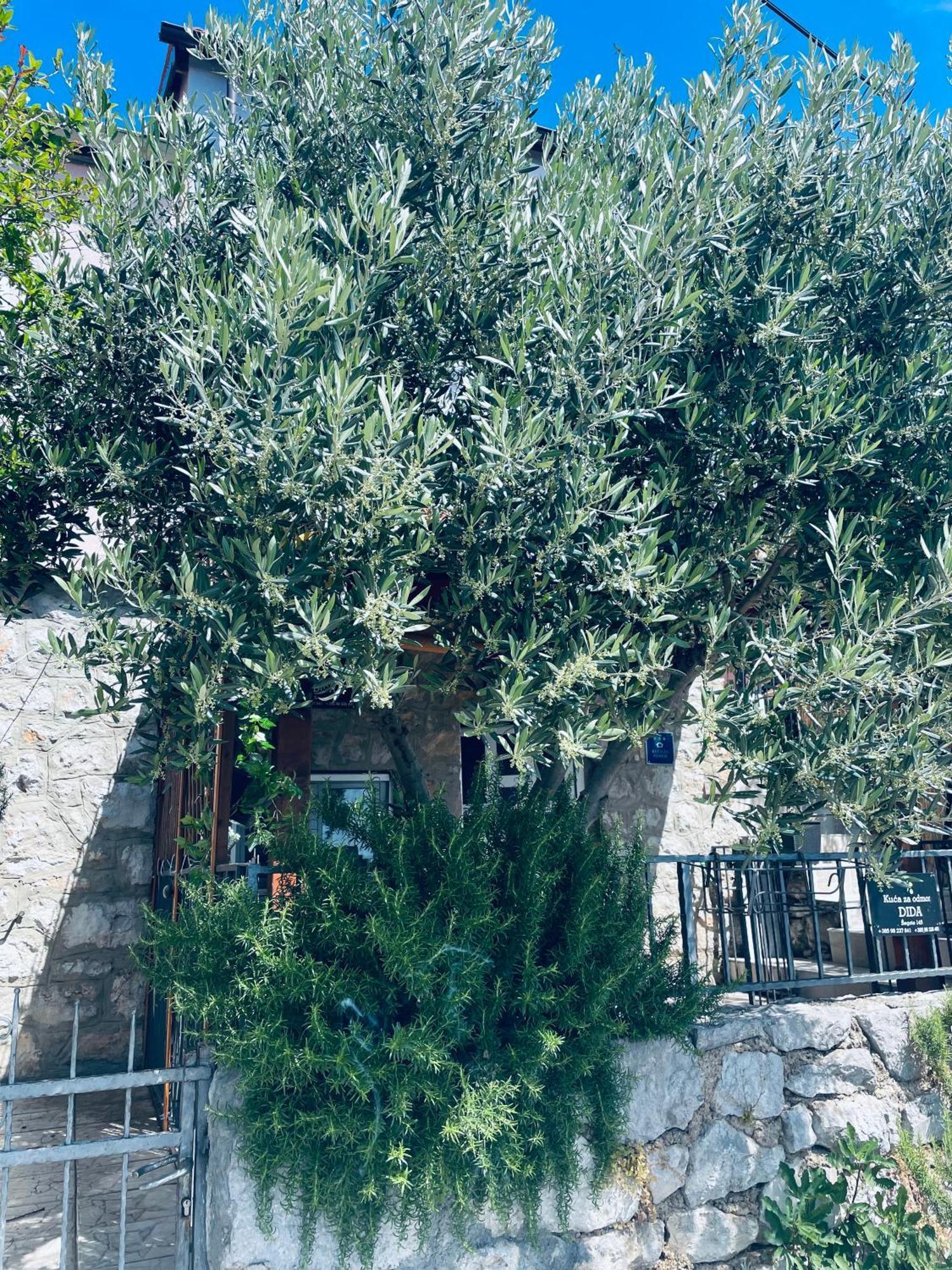 Kuca Za Odmor “Dida” Villa Stinica Exterior foto