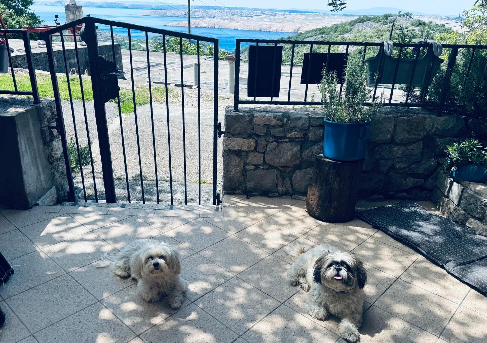Kuca Za Odmor “Dida” Villa Stinica Exterior foto